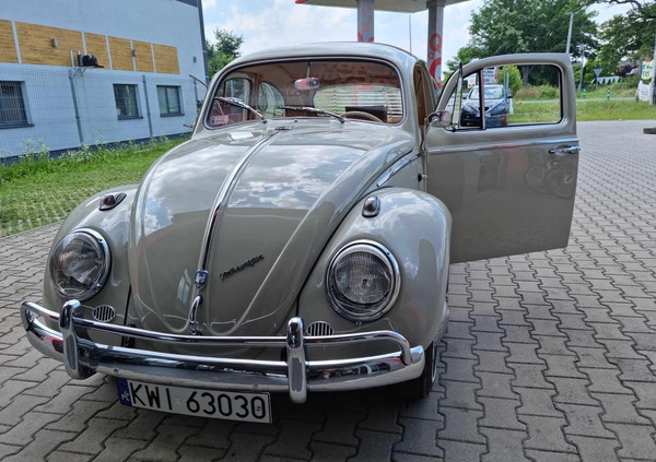 Volkswagen Garbus cena 134000 przebieg: 250, rok produkcji 1962 z Łuków małe 781
